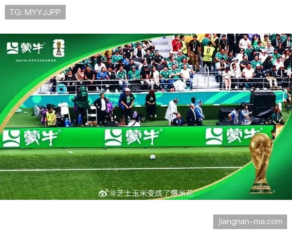 亚马尔世界杯制胜密码揭秘